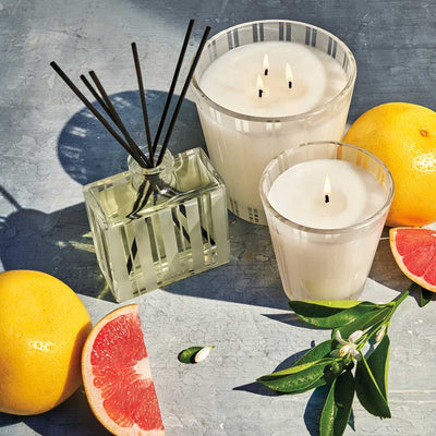 Classic Candles by Nest New York | Julia Moss Designs