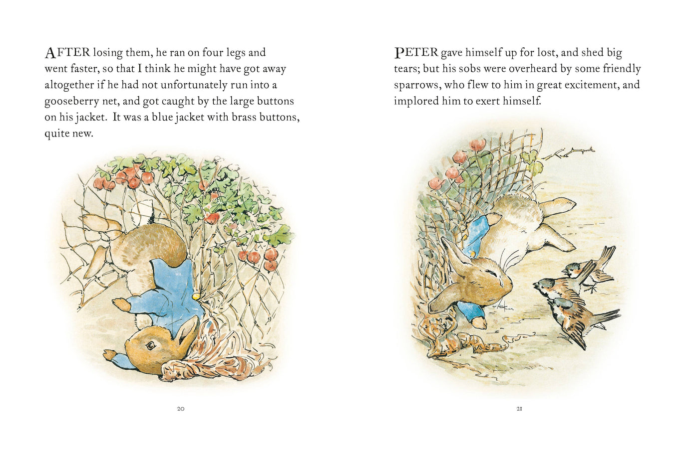 The Tale Of Peter Rabbit Book – Julia Moss Designs