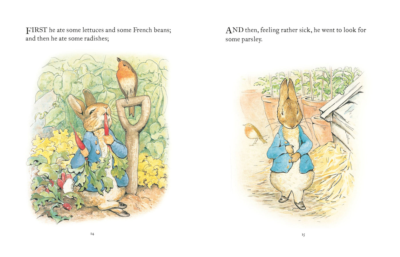 The Tale Of Peter Rabbit Book – Julia Moss Designs
