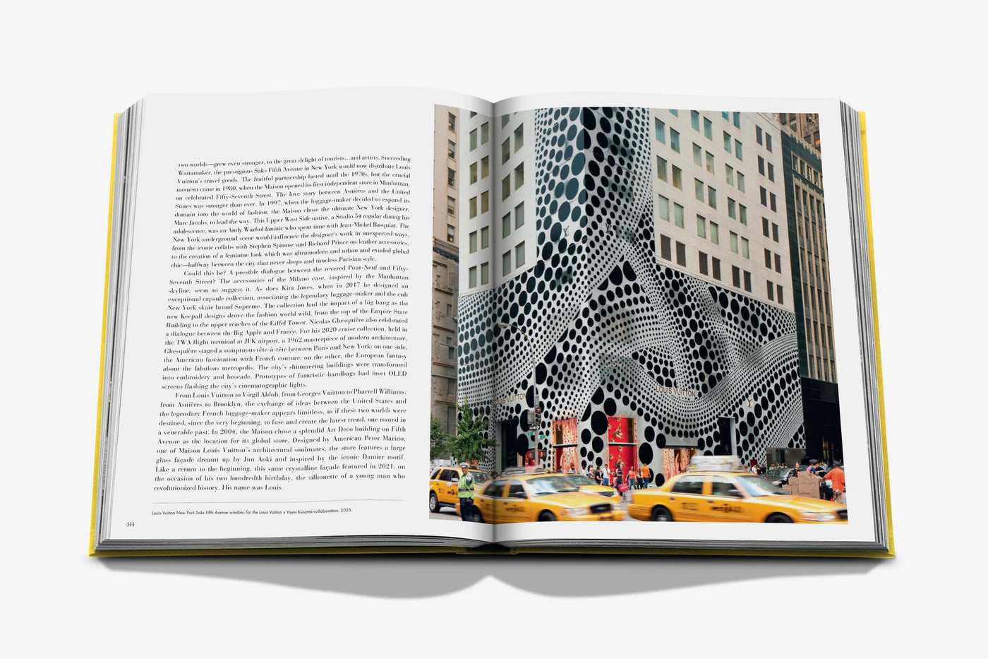 From Louis To Vuitton Book