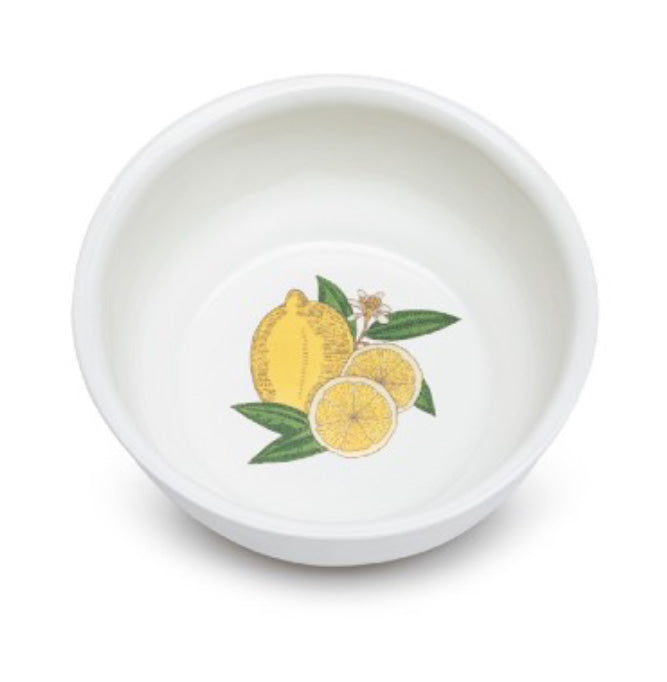 Citron Enameled Porcelain Bowl