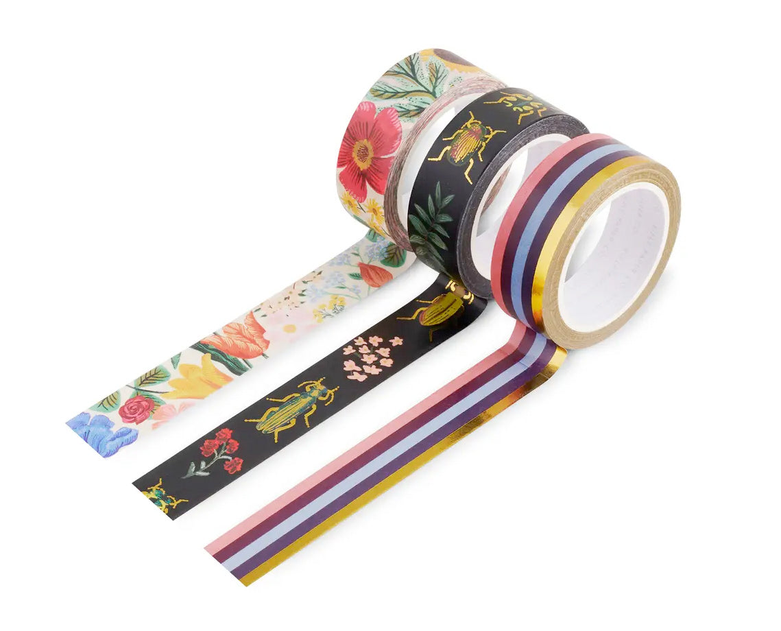 Curio Paper Tape, Set of 3