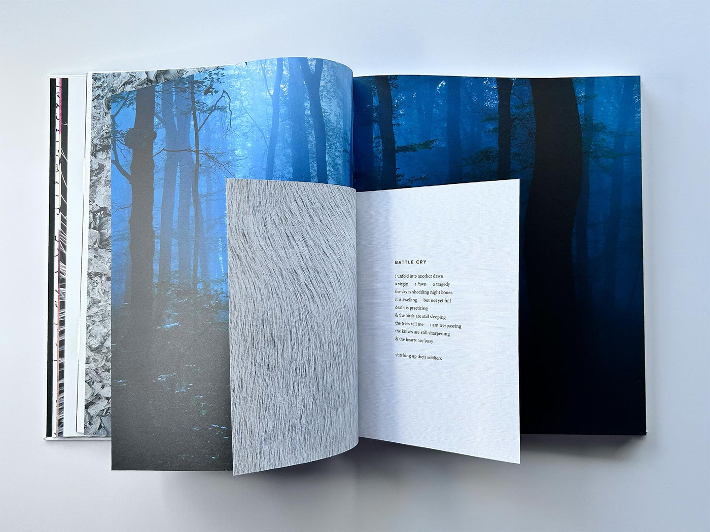 Dare Me To Be The Girl Book