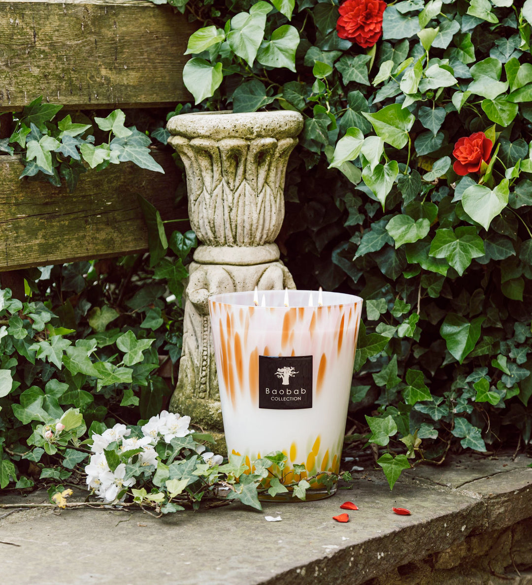 Baobab Eden Garden Scented Candles | Julia Moss Designs