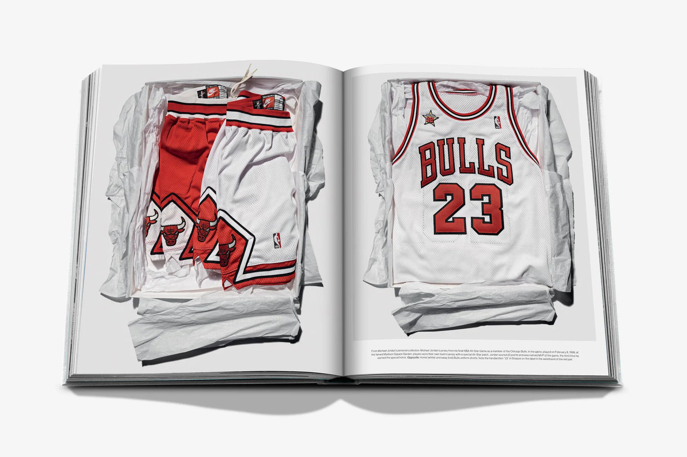Air Jordan Book