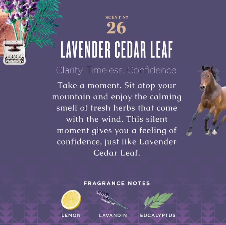 Lavender Cedar Leaf Dish Soap