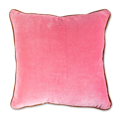 Charliss Velvet Pillow