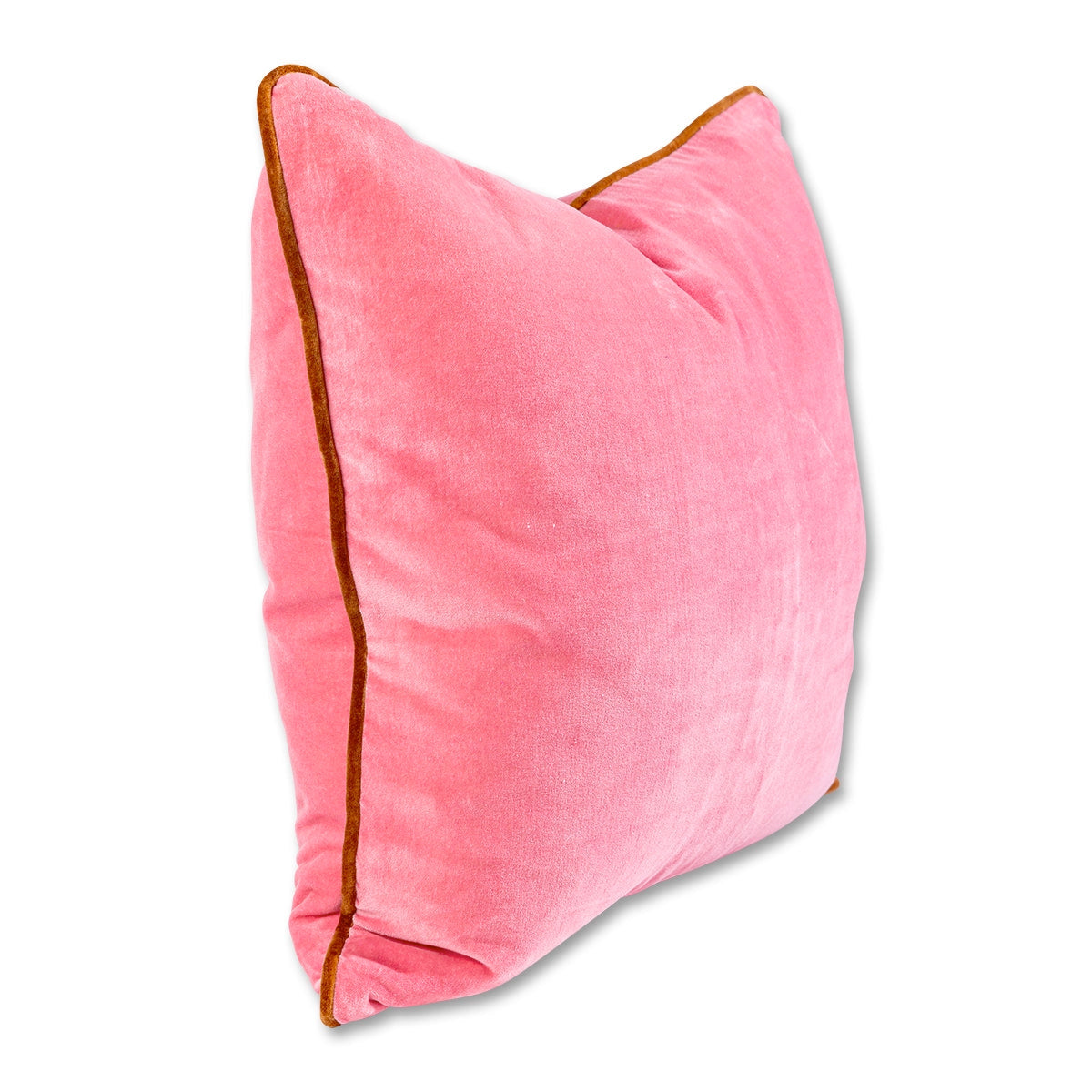 Charliss Velvet Pillow