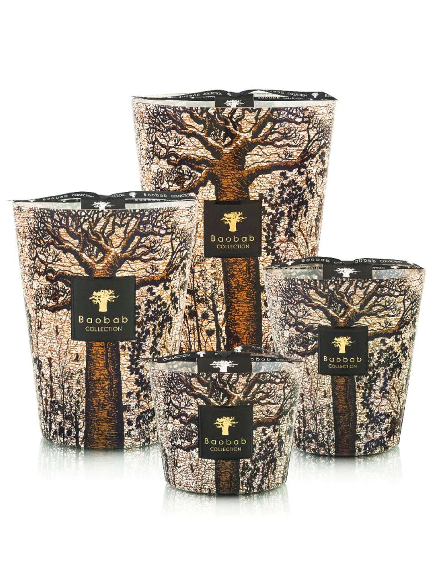 Sacred Trees Morondo Scented Candle