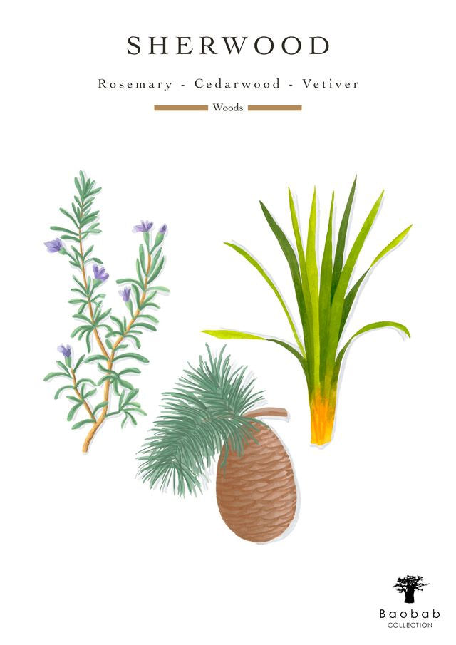 Woods: Sherwood Scented Candle