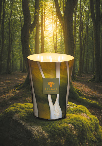 Woods: Sherwood Scented Candle