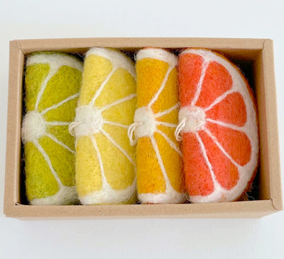 Citrus Slices Ornament Set