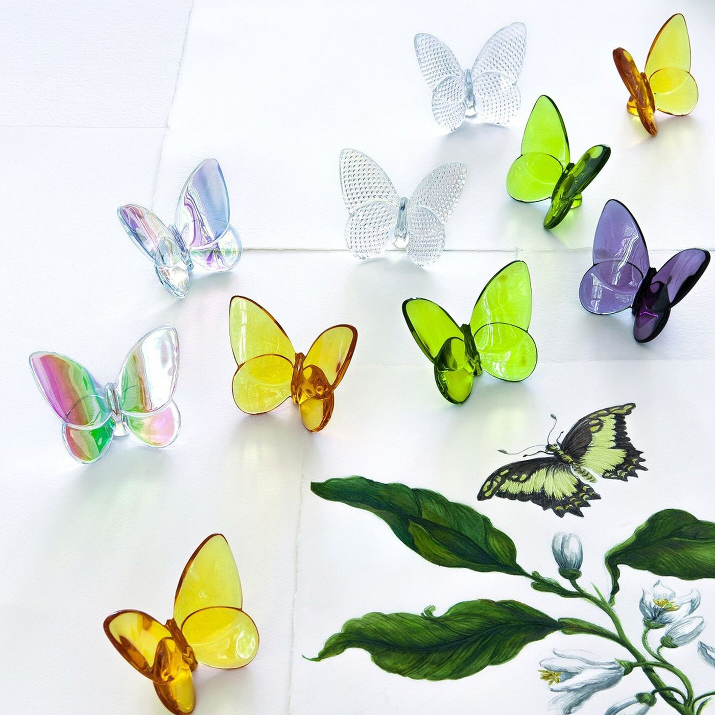 Lucky Papillon Crystal Butterfly , Baccarat, Sculptures- Julia Moss Designs