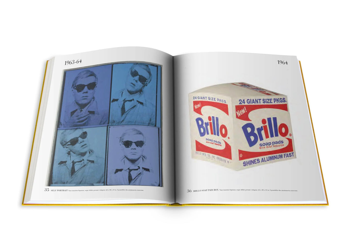Andy Warhol: The Impossible Collection Book