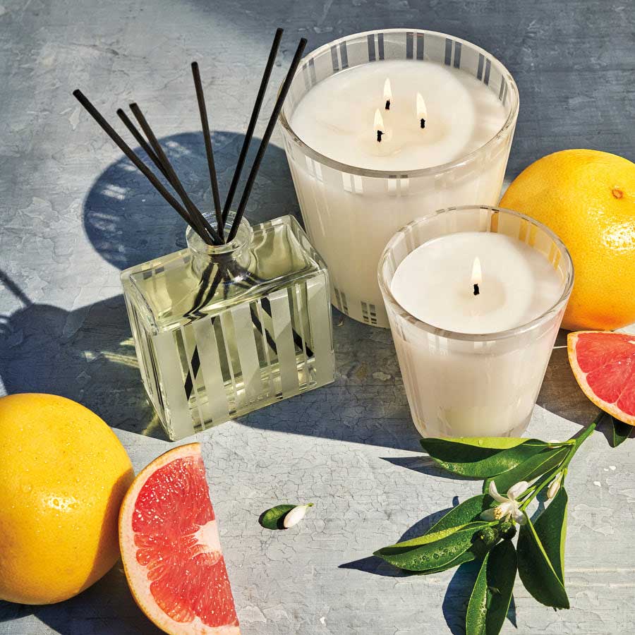 Classic Candles by Nest New York | Julia Moss Designs