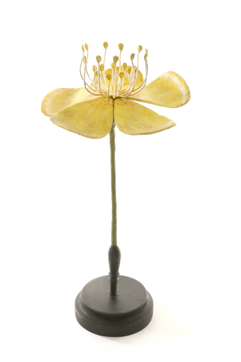 Botanical Model - Yellow